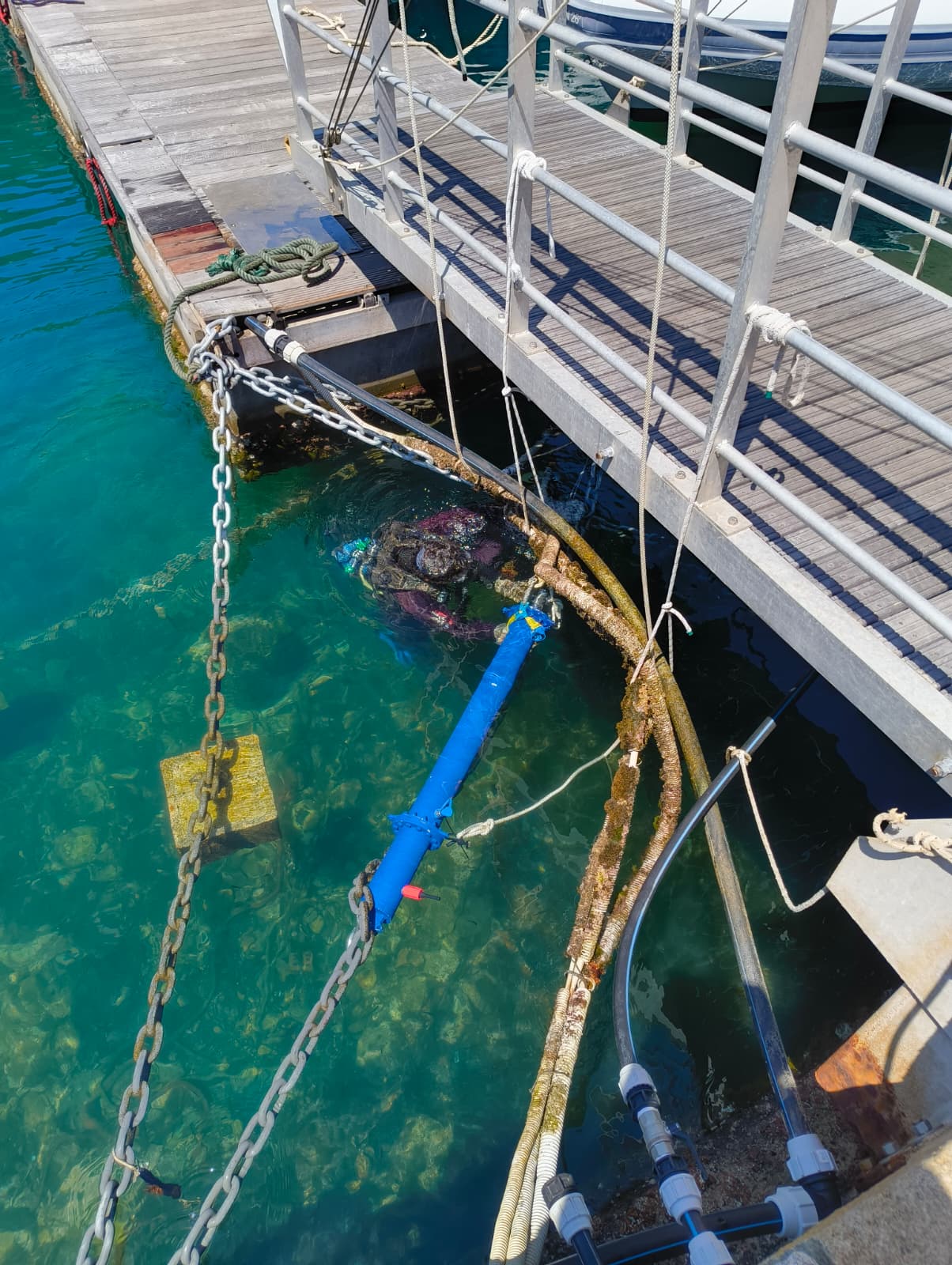 Seadamp FX installato sotto il pontile galleggiante all'Isola del Giglio